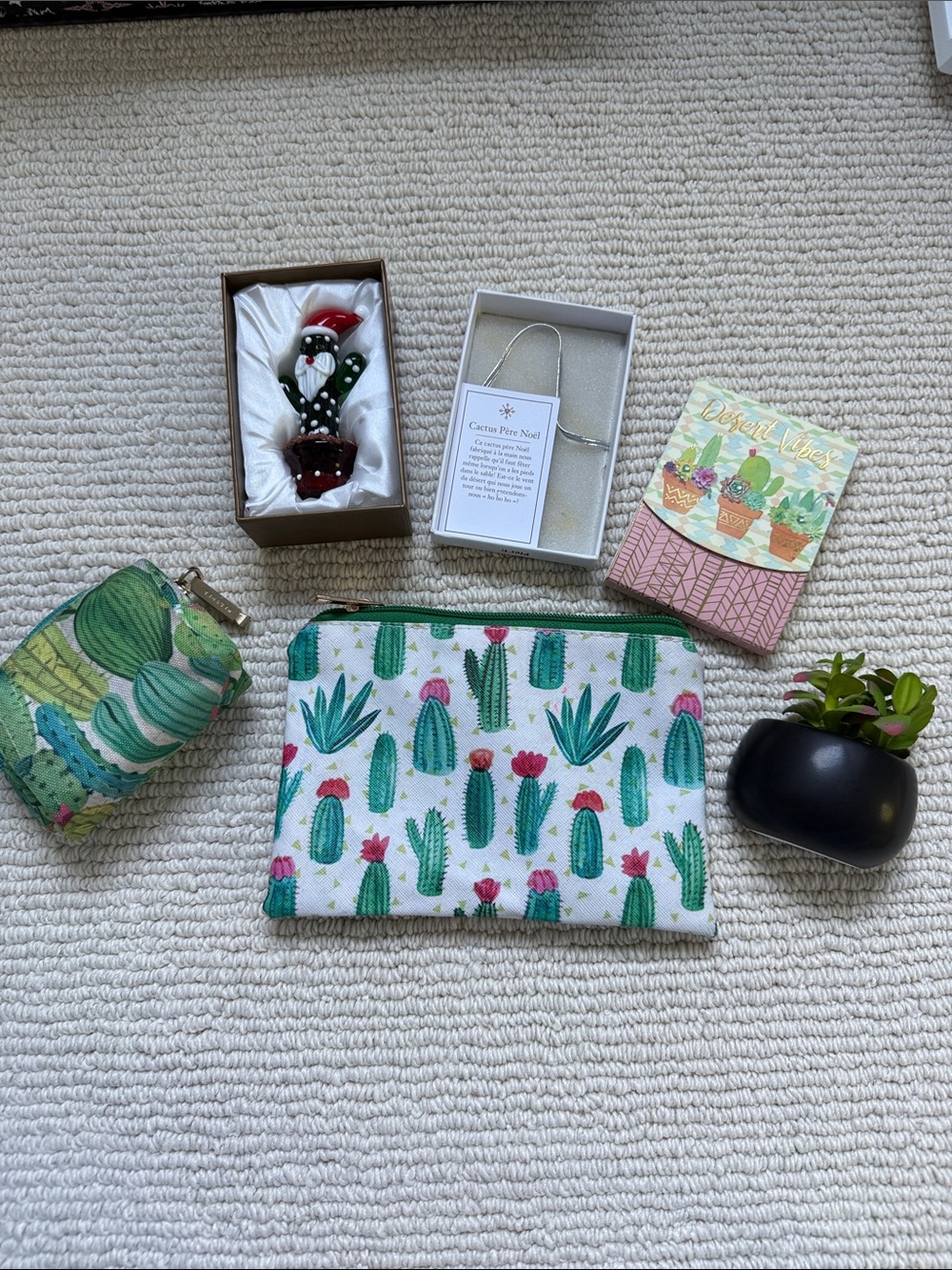 Cactus collection Pouches - magnet- note pad- glass figurine